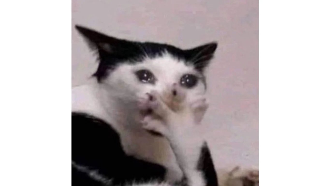 Un meme en primer plano de un gato blanco y negro con los ojos llorosos.